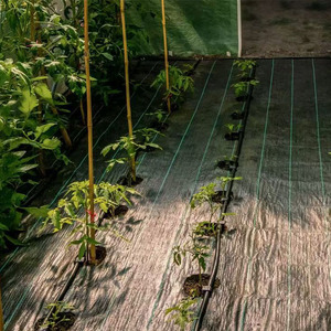 Đục Weed Mat cảnh quan vải Weed rào cản với trồng lỗ dệt Weed Mat bán buôn - Product Image 6