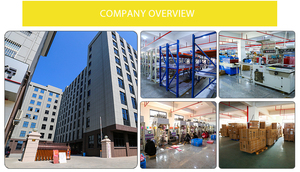 Marco avanzado COOLEVE DIY pintura al óleo digital lienzo fábrica al por mayor retrato de paisaje personalizado para adultos tipo impreso - Product Image 6