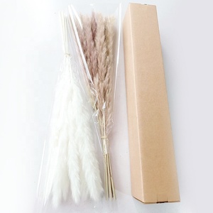 ZS002 Vente en gros d'herbe de la pampa naturelle séchée à longues tiges, style nordique, blanc et marron, <span class=keywords><strong>pour</strong></span> arrangement de <span class=keywords><strong>vase</strong></span> et décoration - Product Image 4