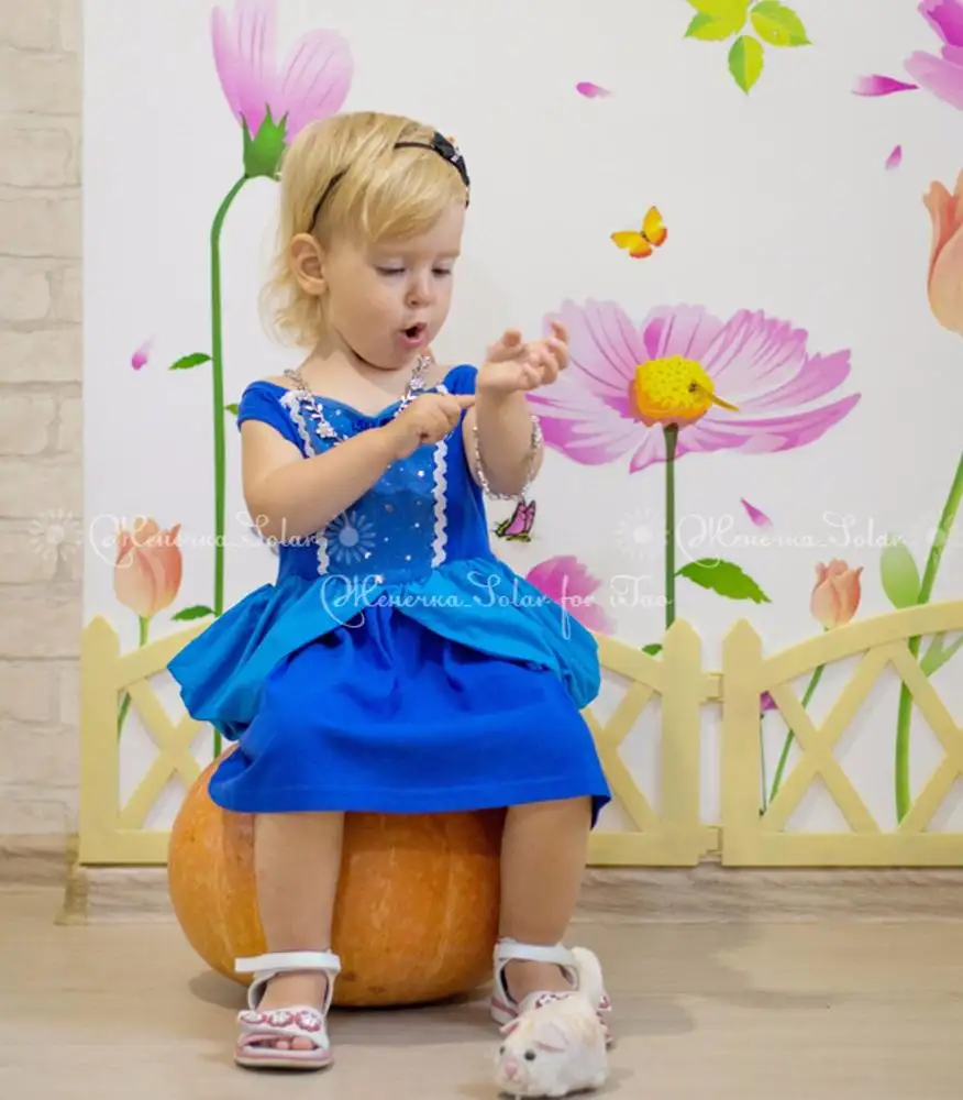 Fairy Tale The Little Glass Slipper Costume for Kids Fancy Princess Dress Girls Wedding Party Blue Ball Gown