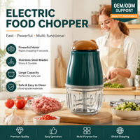 Robot culinaire portable électrique pour bébé, mini hachoir à viande et ail, silencieux et à faible bruit