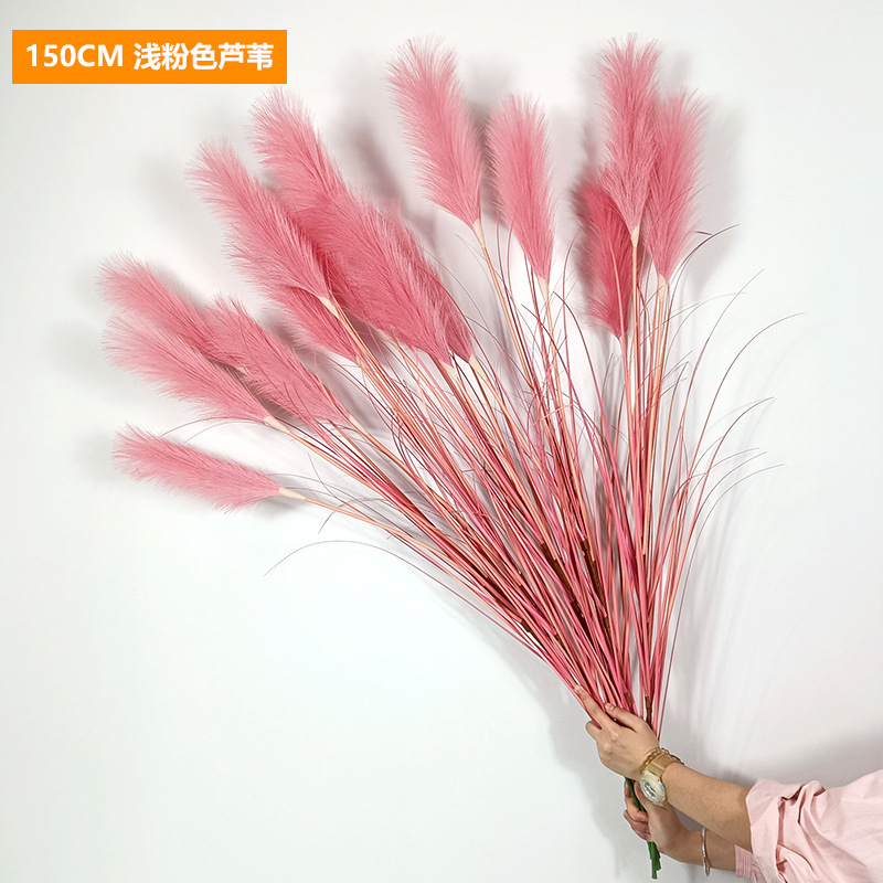 Cañas rosa claro, 150cm