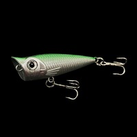 Leurre dur Luya en ABS, micro-particules, pour la pêche en surface et en eau moyenne, 5,2 cm/4 g, pour la pêche en rivière, lac, océan, plage, pêche à la flottaison