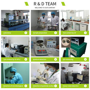 뜨거운 판매 유기 녹색 커피 콩 추출물 녹색 커피 콩 분말 - Product Image 4