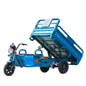 China hot sale 60v 30Ah 1000W Quality Strong Power 3 wheel triciclo electrico Cargo trike Electric Tricycle for carry goods