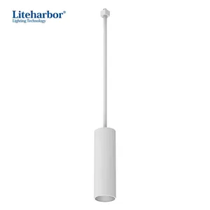 10W 16W 20W LED Pendant Downlight Surface Mounted Cylinders LED Modern Lighting Hanging Light