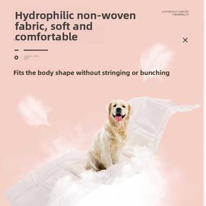<span class=keywords><strong>Pañales</strong></span> Desechables <span class=keywords><strong>para</strong></span> Perros Machos y Pantalones Sanitarios <span class=keywords><strong>para</strong></span> Hembras, Diseño Reforzado, de Papel, <span class=keywords><strong>para</strong></span> Teddy, Corgi, Border Collie, Almohadillas Absorbentes de Orina - Product Image 1