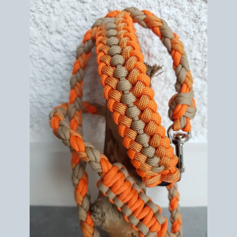 neues design stilvolle orange haustiere leine hund leine silikon haustier ausweis tag hundehalsband für kleine hunde leine halsband halsband haustier geschenkset