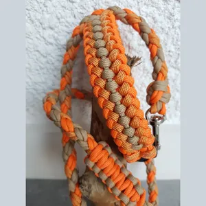 Nieuw Design Stijlvolle Oranje Hondenriem Hondenriem Siliconen Huisdier Id Tag Halsband Voor Kleine Honden Leine Collier Kraag Huisdier Cadeau Set