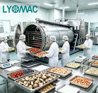 LMF-100-Volledig Automatische Industriële Vacuüm Voedselvriesdroger Lyofilisatiemachine voor Fruit, Zeevruchten en Huisdierenvoeding Productielijn