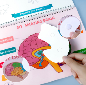 Libro occupato per bambini educazione della prima <span class=keywords><strong>infanzia</strong></span> struttura del corpo cognizione educazione precoce libro tranquillo libro occupato - Product Image 6