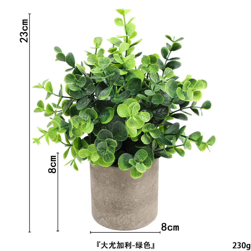 Gros eucalyptus sans poudre ahe368-069