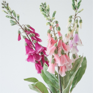 Flores Artificiales de Seda al por Mayor, Resistentes al Agua, Decorativas para el Hogar, Tipo <span class=keywords><strong>Foxglove</strong></span> Blanco, para Bodas, Regreso a Clases y Año Nuevo Chino - Product Image 2