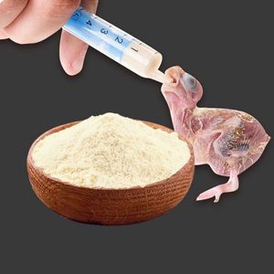 Sağlıklı büyüme için bebek yenidoğan kuşlar vitaminleri için özel aromalı anında papağan süt tozu takviyesi - Product Image 3