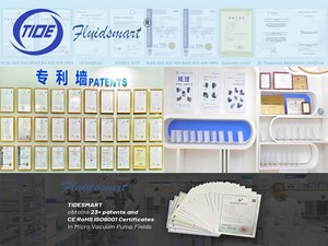 ปั๊มไดอะแฟรมอลูมิเนียมขนาดเล็ก Fluidsmart ปั๊มดูดสุญญากาศแรงสูง-ต่ำ ปั๊มดูดแก๊สสุญญากาศขั้นสูง ปั๊มดูดสุญญากาศในห้องปฏิบัติการแบบไร้น้ำมัน - Product Image 4
