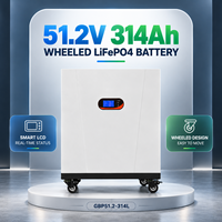 Batteries LiFePO4 sur roues 51.2V 48V pour système de stockage d'énergie, BMS intelligent CAN/RS485, alimentation de secours solaire hybride pour la maison