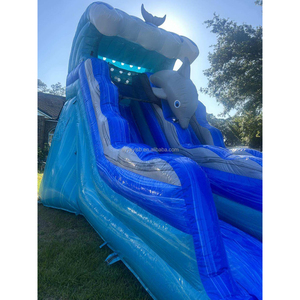 Thương Mại Ngoài Trời Inflatable Trượt Nước Với Đôi Làn Đường Với Có Thể Tháo Rời Hồ Bơi Cá Mập Nhà Jumper Bouncy <span class=keywords><strong>Bouncer</strong></span> Cho Trẻ Em - Product Image 5