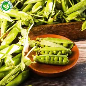 IQF Frozen Best Fresh Green Peas With Organic Freeze BRC Approved Bulk Wholesale Price