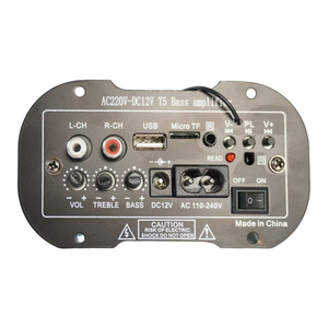 Amplificador de Audio para Auto de 12V, Precio de Fábrica, Placa Profesional para Altavoces, AC220V, Lanzador de Cohetes para Sistema de Sonido Doméstico - Product Image 1