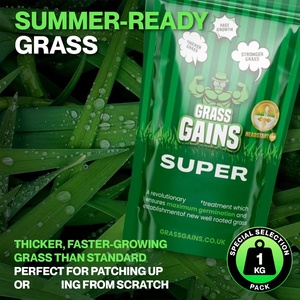 Garden Fast-Growing Premium Lawn, paquet de 1 kg, herbe de seigle vivace/fescue rouge grimpante, traitement Headstart Gold pour les zones ombragées - Product Image 5