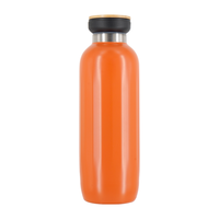 Bouteille d'eau isotherme en acier inoxydable à double paroi, forme gourde, design classique, grande capacité 500 ml, conteneur sous vide pour l'extérieur