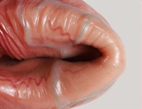Jouet sexuel masculin en silicone Netphi D014, souple, 100% étanche, kit de harnais à porter, godemiché creux réaliste, 190g