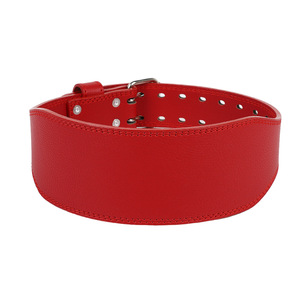 Cinturones de Levantamiento de Pesas, Accesorios de Gimnasio, Cinturón de Soporte Lumbar para Levantamiento de Pesas para Mujeres - Product Image 3