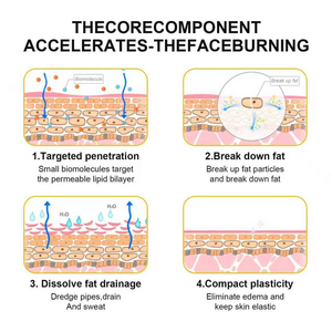 Crème amincissante pour le corps anti-cellulite biologique OEM/ODM, ingrédients raffermissants pour la taille au gingembre, crème amincissante <span class=keywords><strong>efficace</strong></span> pour perdre du poids - Product Image 4