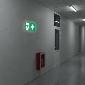 Uscita di emergenza segno freccia sinistra-200 in PVC luminescente * 400mm - Product Image 3