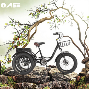 <span class=keywords><strong>Vélo</strong></span> électrique cargo à trois roues à vitesse unique de <span class=keywords><strong>20</strong></span> <span class=keywords><strong>pouces</strong></span> avec cadre en aluminium pliable entièrement antichoc Capacité de charge de 150 kg Tricycle - Product Image 3