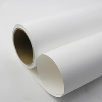 MASIGNS Rouleaux de papier pour affiches en polypropylène à jet d'encre Eco Solvant Imprimables Imperméable PP Synthétique