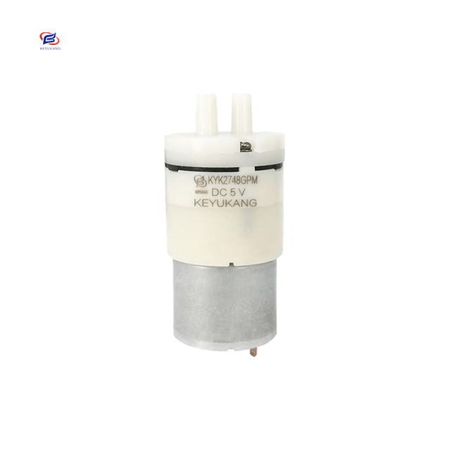 Professional Manufacturer Supply Mini Air Pump DC 6V 12V 24V Mini Electric Diaphragm Pump for Fish Tank Aquarium