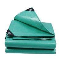 Chine Fournisseur 100% PE En Plastique Toile Ouvert Conteneur Feuille Bâche Bâche pour Extérieur Enduit Étang À Poissons Poly Bâche Tente