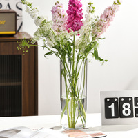 Vase hydroponique en plastique transparent moderne pour plantes aquatiques d'intérieur pour les arrangements floraux à la maison