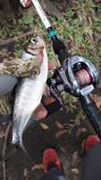 Hunthouse – moulinet de pêche en eau salée personnalisé 7.1:1 8kg Max