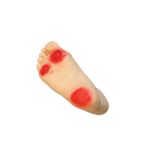 चिकित्सा विज्ञान प्रशिक्षण और नैदानिक उपयोग के लिए BIX-HS19 उन्नत मधुमेह पैर देखभाल मॉडल - Product Image 4