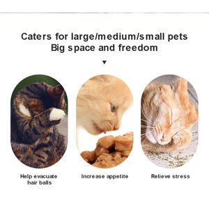 Petdom Hot Sell Hochwertiges Haustier Katzen spielzeug Fisch förmige Katzenminze Ball Spielzeug Katzenminze Wand bälle Katzen spielzeug interaktiv - Product Image 2