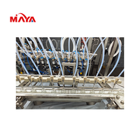 Ligne de remplissage et de bouchage automatique de flacons aseptiques Marya de 2 ml avec convoyeur – Fabricants