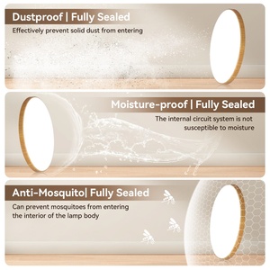 Lámparas de Techo Modernas Canmeijia para Sala de Estar, Plafón <span class=keywords><strong>LED</strong></span> Redondo Ultradelgado / Lámpara de Techo <span class=keywords><strong>LED</strong></span> / Luz de Techo <span class=keywords><strong>LED</strong></span> - Product Image 5