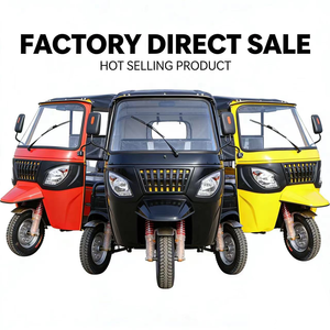 Triciclo Eléctrico Confiable de 3 Ruedas para 6 Pasajeros, con Batería de Plomo-Ácido y Motor de Corriente Alterna, para Turismo - Product Image 4