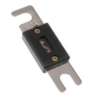 ANL 60 Amp 80Amp 100 Amp 200Amp 150Amp 니켈 도금 자동 퓨즈