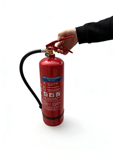 <span class=keywords><strong>Extincteur</strong></span> à poudre sèche en acier portable de 4 kg de haute qualité, <span class=keywords><strong>prix</strong></span> d'usine, norme européenne - Product Image 5