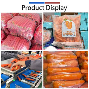 Ligne de traitement industrielle pour carottes et radis : machine de lavage, pelage, tri, pesage et emballage de carottes - Product Image 5