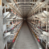 Cage à poules automatique de type H avec système d'évacuation du fumier, cage en batterie pour 1000 oiseaux pour la production d'œufs en élevage avicole