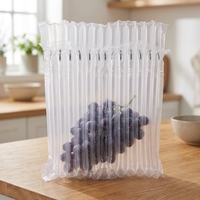 Sac à colonne d'air gonflable de 60 µm d'épaisseur, taille 565*360 mm, pour 2 kg de raisins