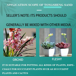 Bonsaï moyen de culture KIRUZUNA <span class=keywords><strong>KIRYU</strong></span> sable fournitures de jardin - Product Image 6