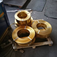 Usine de traitement pour la production de feuilles de laiton H63, efficacité 0.1*300, application pour composants électriques