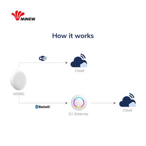 Ble / Wi-Fi 60Ghz Millimeter Wave Radar <b>Sensor</b> Occupancy <b>Sensor</b> Human Presence <b>Sensor</b> People Counting Smart IoT Motion <b>Sensor</b> - Product Image 4