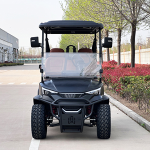 Voiture levée personnalisée 4 places chasse Golf Buggy F11 voiture de golf électrique Falcon H2 + 2 voiturette de golf - Product Image 1