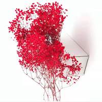 Fleurs Colorants Absorbants Fleurs Eternelles Agent de teinture Mantianxing Colorants Absorbants